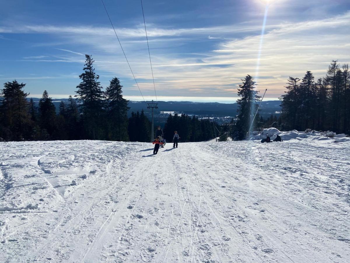 Luxurioese 3-Zi. Ferienwohnung Jagdromantik 200 M Bis Zur Wurmbergsseilbahn Braunlage Zewnętrze zdjęcie